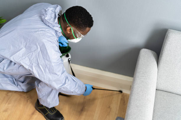 Best Bed Bug Extermination  in Blue Mound, TX